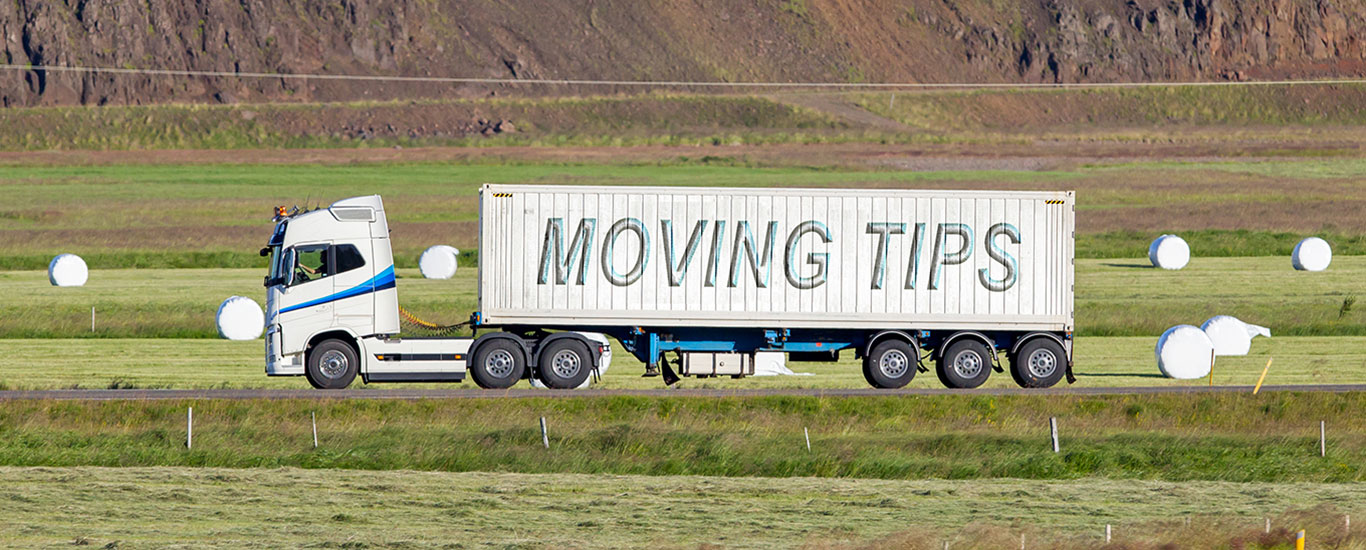 Artikel Lager.de moving tips